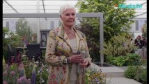 Judi Dench combat une maladie dégénérative : « je ne peux plus lire »