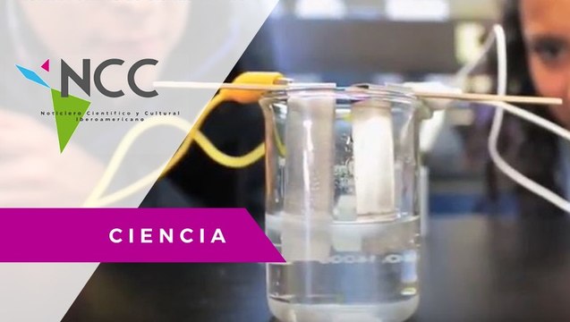 Talleres creativos acercan la ciencia a estudiantes universitarios