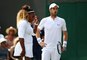 Wimbledon : La paire Serena-Murray s'arrête là