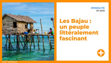 Les Bajau : un peuple littéralement fascinant