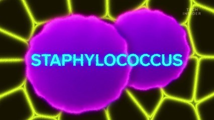 What's inside your belly button