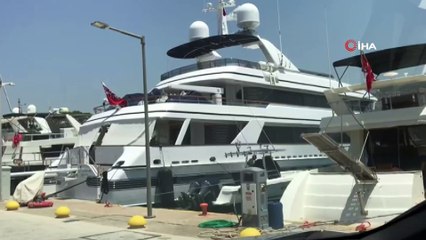 Köpeği ölen ünlü İngiliz şarkıcı mavi turu yarıda kesti