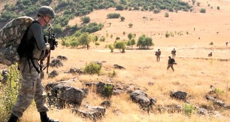 Tunceli'de 5 terörist etkisiz hale getirildi