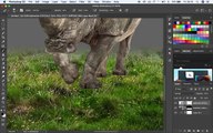 Digital Imaging Tutorial Photoshop manipulation