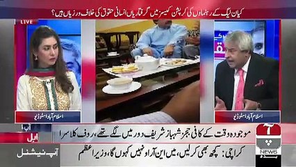 Agar PMLN Ya Mariyam Nawaz Sharif Samajh Rahe Hain Ke Shor Machane Se Nawaz Sharif Nikal Jaenge To Aisa Nahi Hone Jaraha.. Amir Mateen