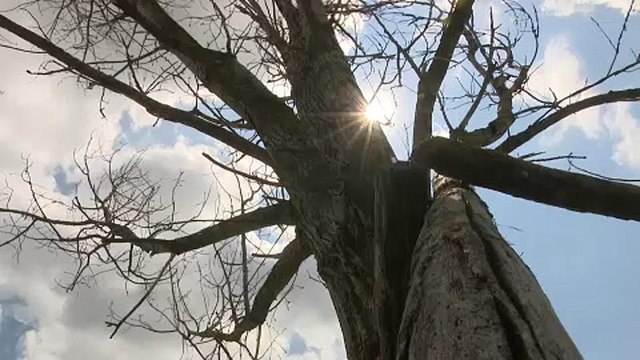 Egyre többen szoronganak a klímaváltozás miatt
