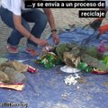 Pesca de plástico