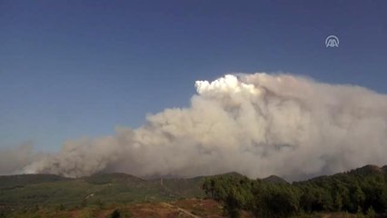 Muğla'daki orman yangınında 34 ev tahliye edildi