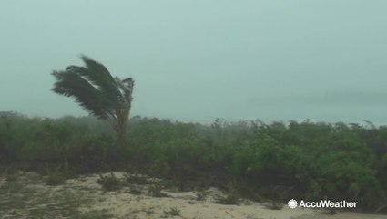 What is a 'home brew' tropical storm?