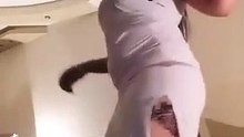 New Beautiful girls dancing