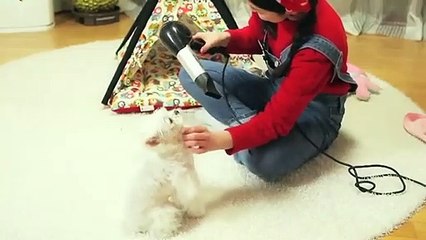 팔달출장안마 ト출장샤워う ｛카톡LA369｝ 팔달전지역출장안마 팔달오피걸 팔달출장샵 팔달출장안마 팔달콜걸샵 출장마사지プポマ