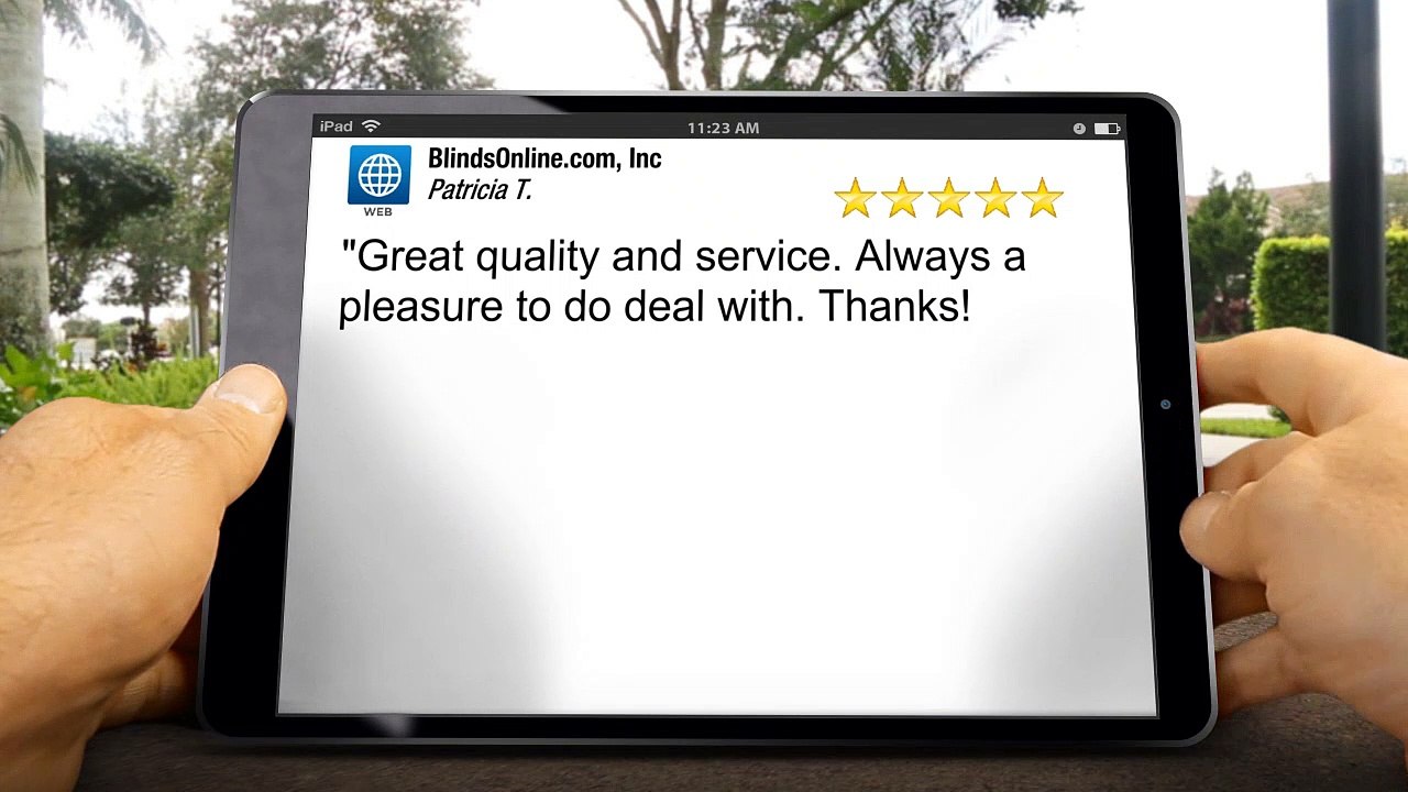 BlindsOnline.com Wonderful - Five Star Review by Patricia T