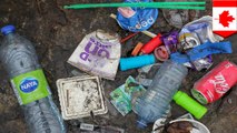 使い捨てプラスチックを2021年より禁止へ カナダ - トモニュース