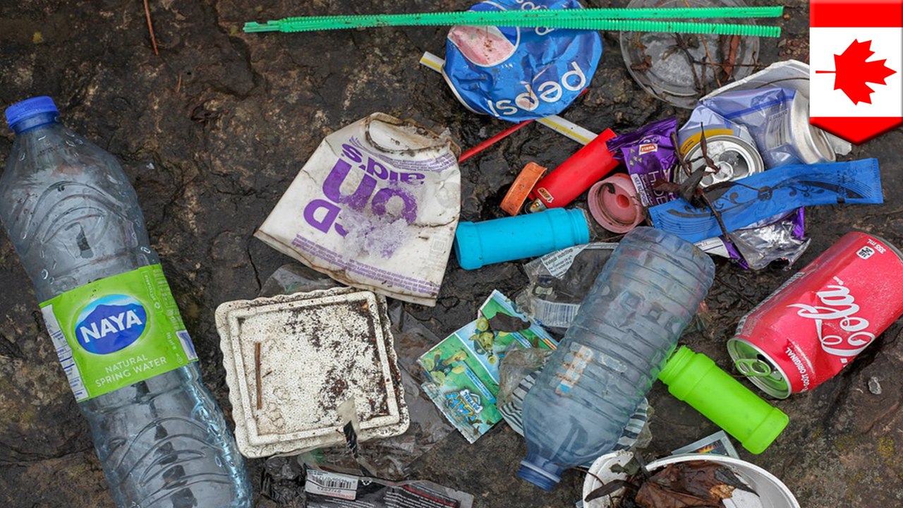 使い捨てプラスチックを2021年より禁止へ カナダ - トモニュース
