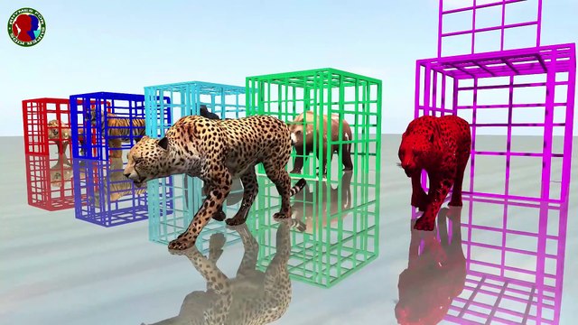 Learn Animals Names And Sounds For Kids || Color Fruits And Animals Matching Game || lion tiger gorilla bear cheetah