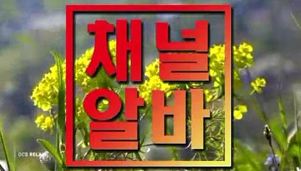 ┗ 채널알바.COM ┛ BAR투잡 미인알바 만근비지급만근비지원 성동구아로마 신도림출장안마