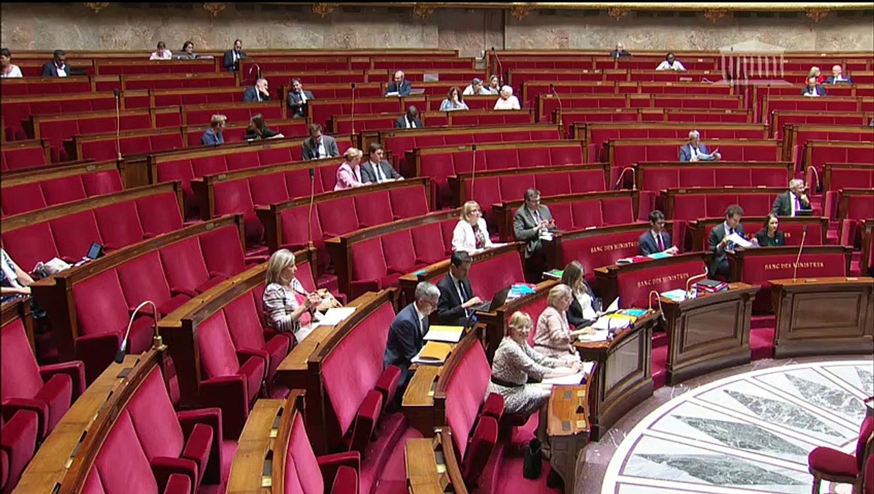 1ère séance : Transformation du système de santé (CMP) ; Adaptation des communes nouvelles à la diversité des territoires - Mercredi 10 juillet 2019