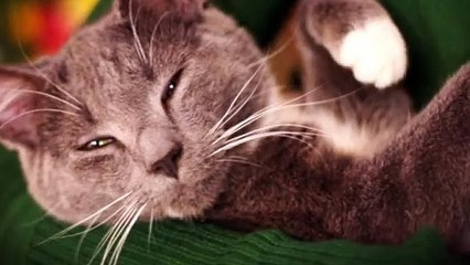 양평출장안마 ト출장샤워う ｛카톡MGM1472｝ 양평전지역출장안마 양평오피걸 양평출장샵 양평출장안마 양평콜걸샵 출장마사지♪⇔∃