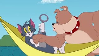 Tom & Jerry |Getting Rid of the Bad Tooth | WB Kids