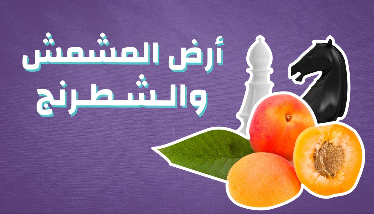 أرض المشمش والشطرنج