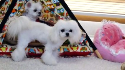 남포동출장안마 ト출장샤워う ｛카톡VR91｝ 남포동전지역출장안마 남포동오피걸 남포동출장샵 남포동출장안마 남포동콜걸샵 출장마사지ニヌネ