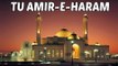 Hit Naat Collection | Tu Amir-E-Haram  | Muzaffar Warsi  Naats