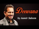 Hit Pop Songs | Ajnabi Vol - 2 |  Deewana | Aamir Saleem Songs