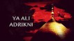 Ya Ali Adrikni | Sachay | Noha | Muharram Compilation