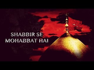 Shabbir Se Mohabbat Hai | Sachay | Noha | Muharram Compilation