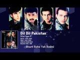 Dil Dil Pakistan (Lyrical) - Vital Signs 1