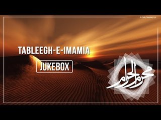 Tableegh-e-Imamia (Nazim Hussain & Afzal Mehdi) | Nohay | Muharram | Audio Jukebox