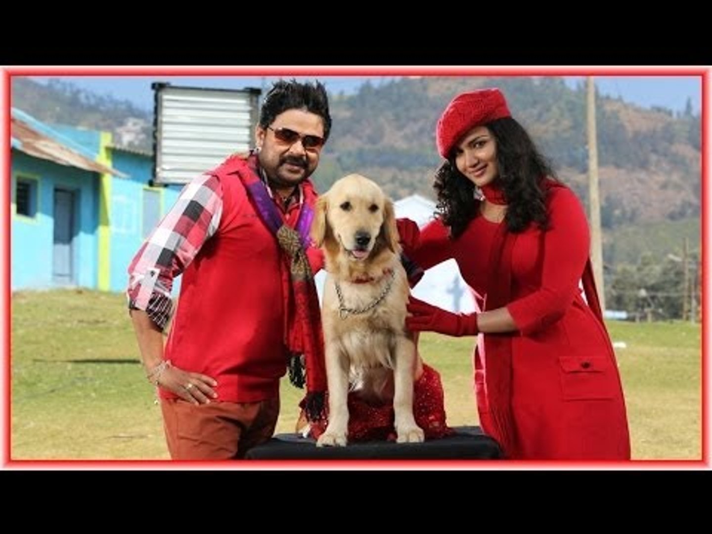 Ringmaster Malayalam Movie Dogs