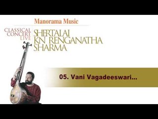 Vani vagadeeswari | Live concert Shertalai K.N Renganatha Sharma