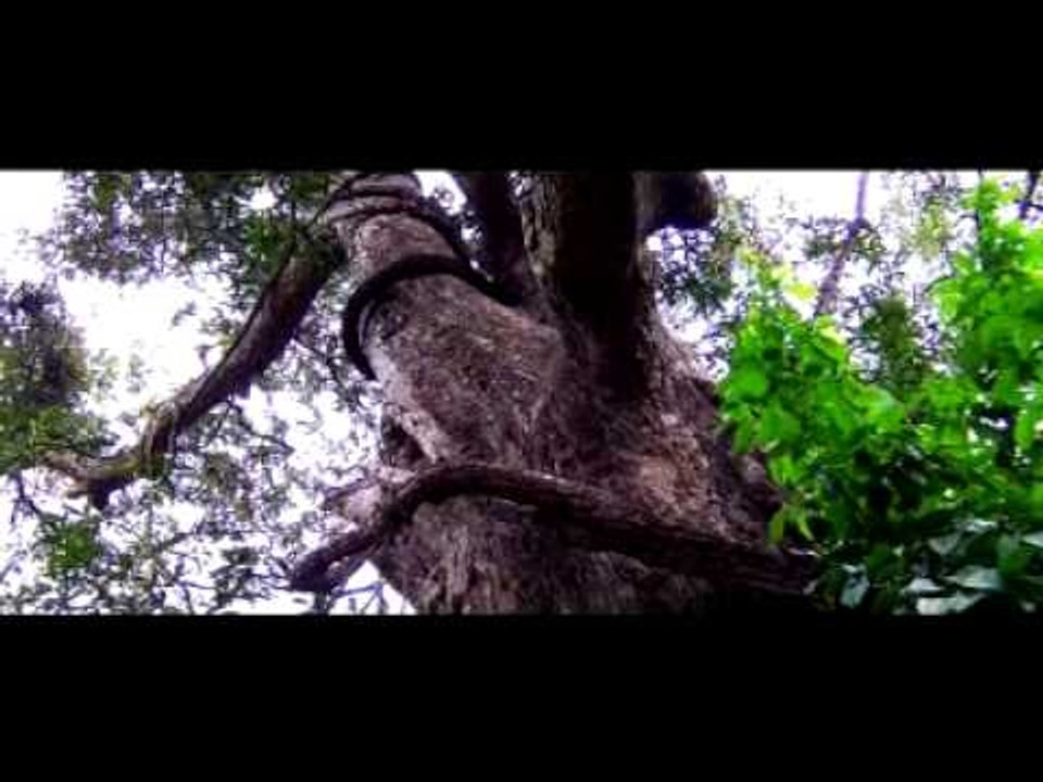 Evidente Niramekum Song from new video album Gramasindhooram