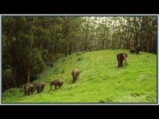 Nidrarahithan song from Hit Album "Yesudas - Dasapushpangal"