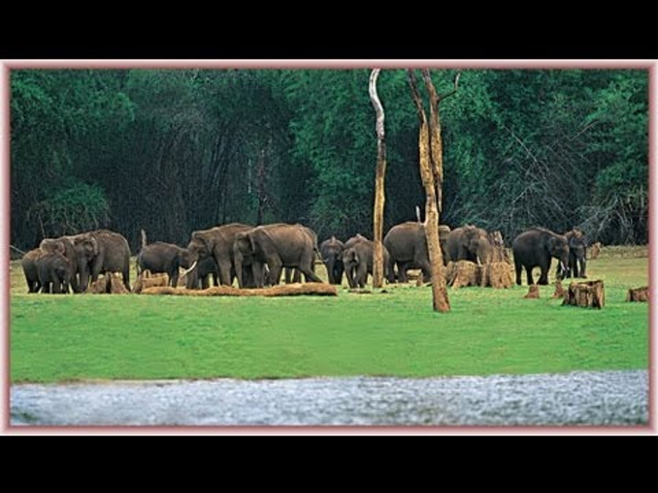 Ee Nadam song from Hit Album Yesudas - Dasapushpangal