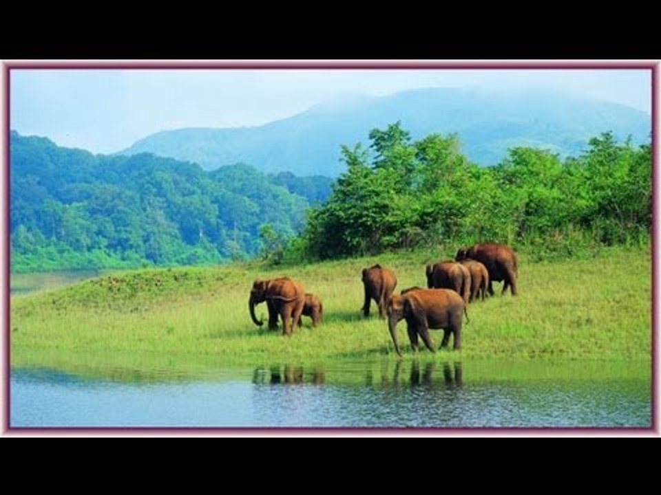 Venal Poompular song from Super Hit Album Thapasya