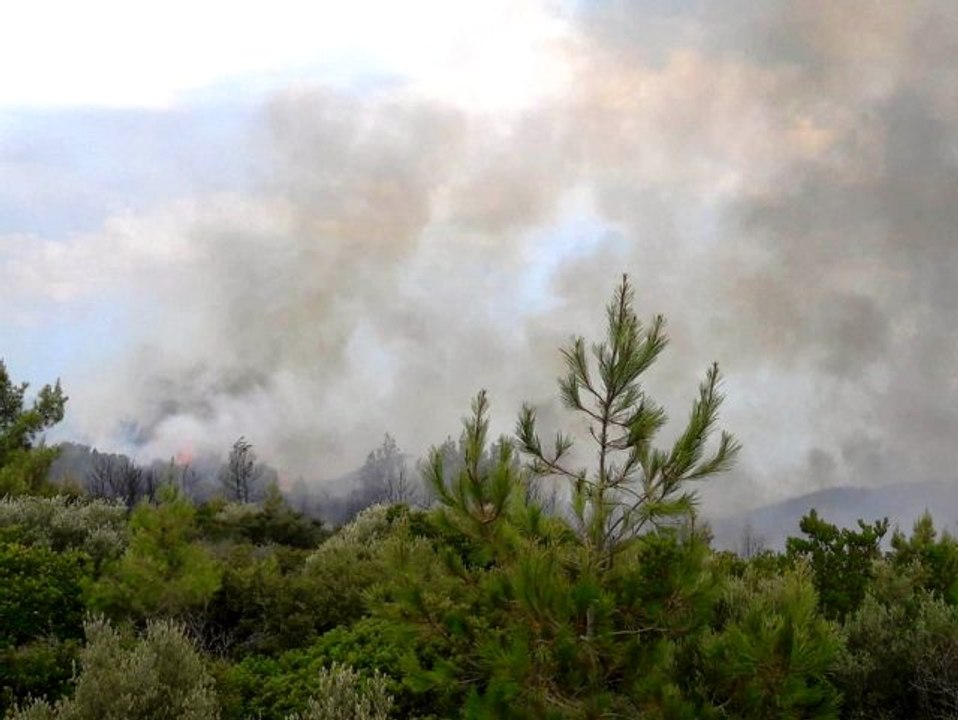 Muğla'da yeni bir orman yangını evleri tehdit e...