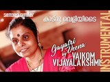 Katruveliyide Kannama film song played by Vaikom Vijayalakshmi on Gayathri Veena