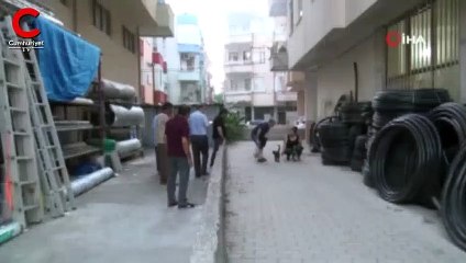 Yürek sızlatan görüntü: Ölen yavrusunun başından ayrılamadı