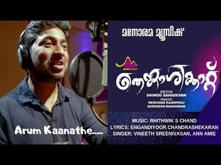 Aarum Kanathe  | Thenkasikkattu | Vineeth Sreenivasan | Aan Amie | Santhosh Varma | Ritwik S Chand