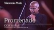 PROMENADE | Pradeep Singh | CCO Records | Western Classical Orchestra