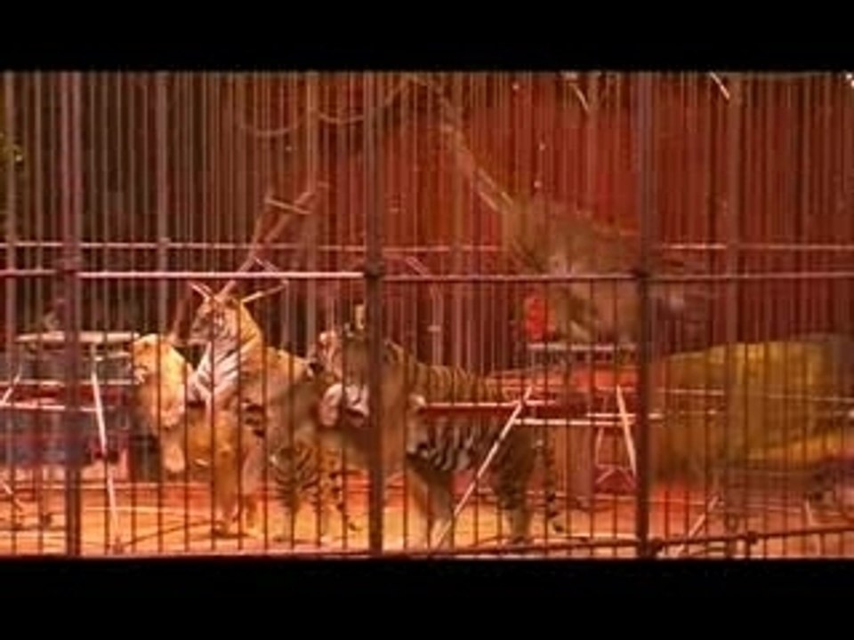 Gala du Festival International du Cirque de Monte-Carlo