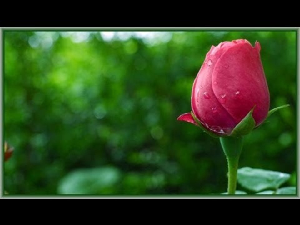 Kettihamsa song from Superhit album RAMZAN NILAVU