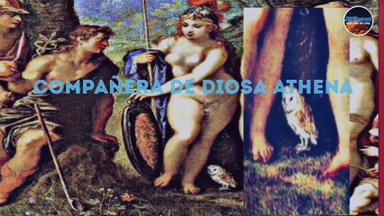 LOS VIGILANTE CAZADOR ES NOCTURNOS (buhos y lechuzas)