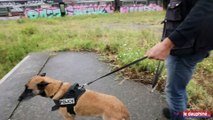 Le chien policier qui valait un million d’euros !