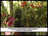 Exposition des Orchidées baptisée ''Orchid Extravaganza'' dans les Jardin du Karibe Convention Cente