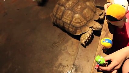 천안출장안마 -후불100%ョØ7ØE7301E9649｛카톡LA25｝ 천안전지역출장안마 천안오피걸 천안출장마사지 천안안마 천안출장마사지 천안콜걸샵ぜそた