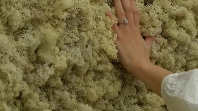 Olafur Eliasson y el cambio climático en la Tate Modern de Londres