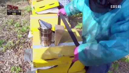 극한직업 - Extreme JOB_시간이 빚은 선물- 벌꿀과 죽염_#002